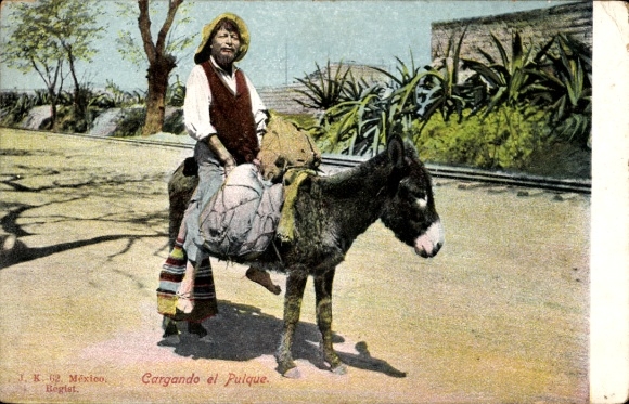 Postcard Mexico, Cargando el Pulque, transport of the national drink