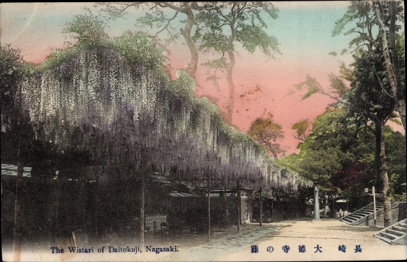 Postcard Nagasaki Präfektur Nagasaki Japan, Daitokuji Park, Wisteria, Blauregen