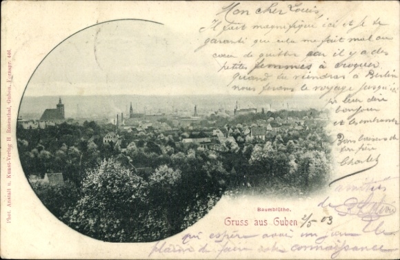 Ak Guben in Neder-Lausitz, panorama, uitzicht over de daken