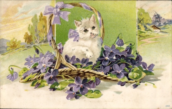 Postcard A white cat sits in a basket full of violets