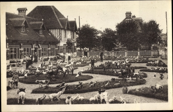 Postcard Dives sur Mer Calvados, Exhibition and Sales Shop, Art Pottery