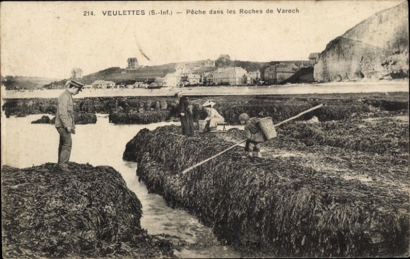 Postcard Veulettes sur Mer Seine Maritime, Peche dans les Roches de Varech
