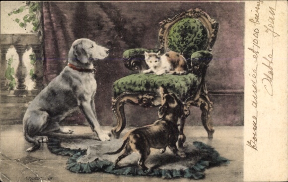 Postcard cat on the armchair, dachshund, dogs