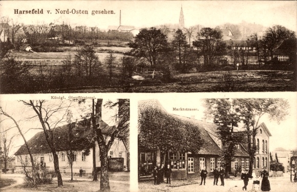 Ak Harsefeld in Nedersaksen, gedeeltelijk zicht, Koninklijk Staatsbosbeheer, Marktstrasse