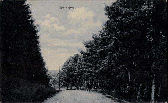 Postcard Nastätten im Taunus, forest