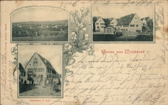 Ak Walddorf Deutschland, Gesamtansicht, Kaufmann J. Lutz