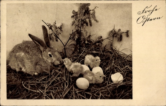 Ak Frohe Ostern, Hase, Nest mit Eiern und Küken
