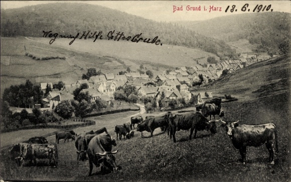 Ak Bad Grund im Harz, Landschaft mit Kühen, Dörfer im Hintergrund, Gebirgsszene