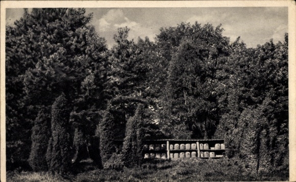 Ak Lüneburger Heide, Bienenstand, Imkerei