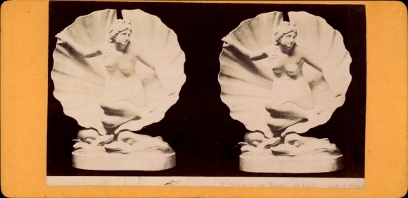 Stereo CdV Firenze Florenz Toscana, Venus in de Schelp
