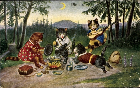 Postcard Cats have a picnic, campfire. Cooking pot