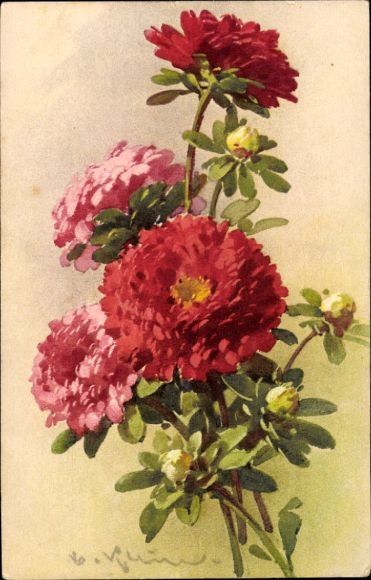 Artist Postcard Klein, C., Blooming Flowers, Buds