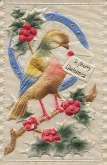 In reliëf gemaakte Ak Gefeliciteerd Kerstmis, Vogel, Hoefijzer, Maretak