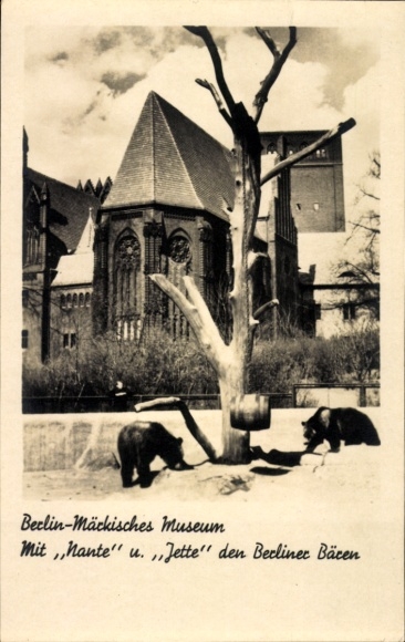 Postcard Berlin Mitte, Märkisches Museum, Bears Nante and Jette