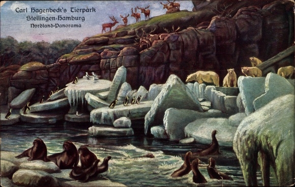 PC Hamburg Eimsbüttel Stellingen, Carl Hagenbeck&#39;s Zoo, Nordland Panorama, polar bears, seals