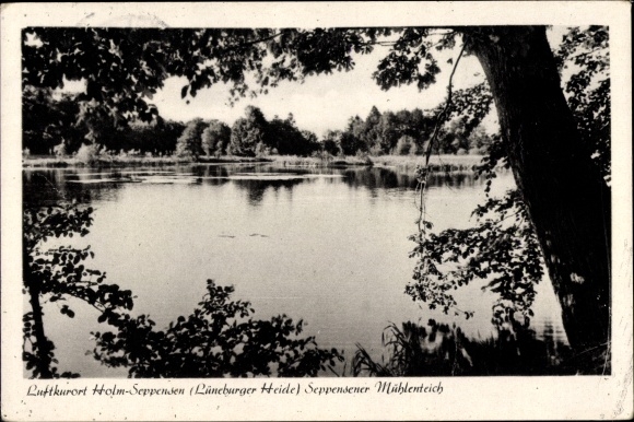 Ak Holm Seppensen Buchholz in de noordelijke heide, Seppensener Mühlenteich