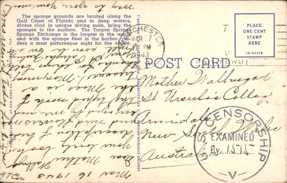 Postcard Tarpon Springs Florida USA, Sponge Diver
