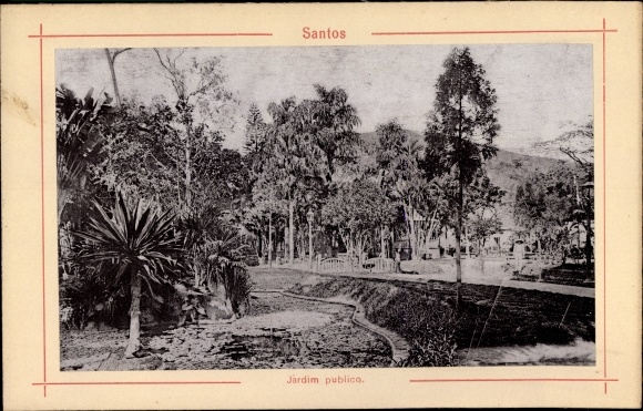 Photo Santos Brazil, landscape, trees, palm