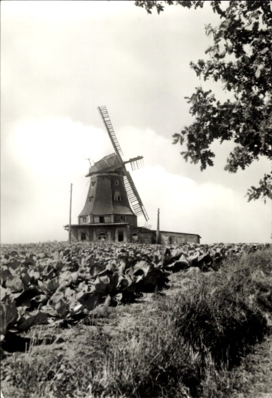 PC Klütz in Mecklenburg, windmill, rural surroundings, black and white photo