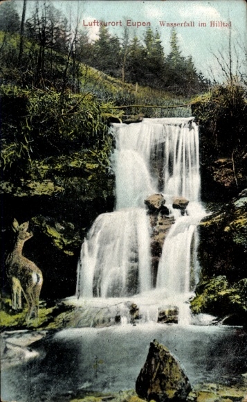 Postcard Eupen Wallonia Liège, waterfall, nature, deer, health resort, Hilltal