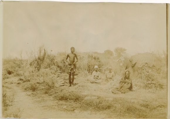 Photo DSW Africa Namibia, ca 1900 - 1904, African young man and women, harvest work