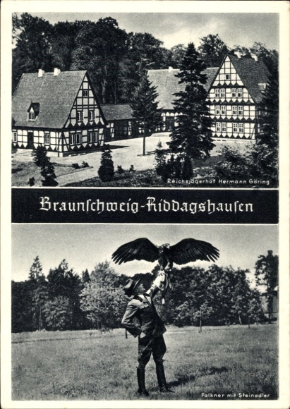 Postcard Riddagshausen Braunschweig in Lower Saxony, Reichsjägerhof Hermann Göring, falconer
