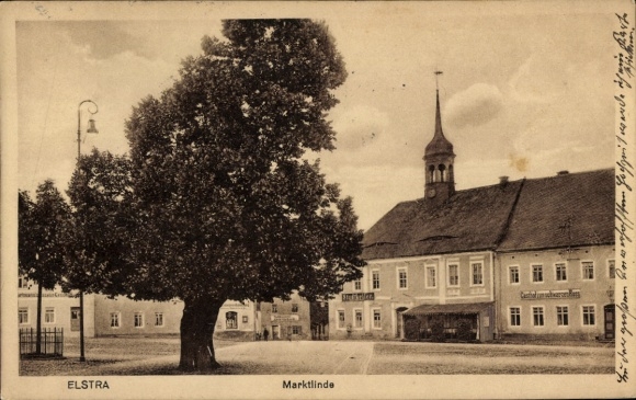 Postcard Elstra in Upper Lusatia Saxony, market linden tree