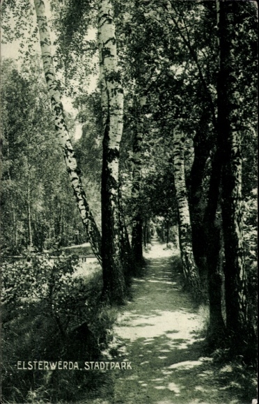 Postcard Elsterwerda in Brandenburg, city park, trees, hiking trail