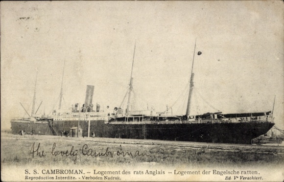 Ak-stoomboot SS Cambroman, Port Line