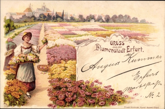 Chromo-Litho Erfurt in Thuringia, flower fields