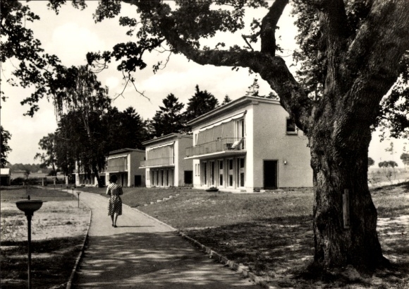 Ak Klink an der Müritz Mecklenburg, Urlaubersiedlung Völkerfreundschaft, Baum, Gehweg, Gebäude...