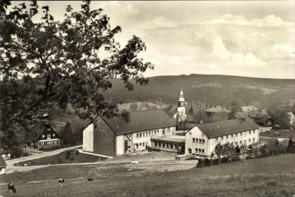 Ak Schellerhau Altenberg im Erzgebirge, Schwarzwaldlandschaft, Gebäude mit Kirche, Wolken und Bäu