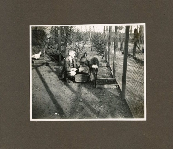 Photo Album Eggersdorf Petershagen with 39 photos