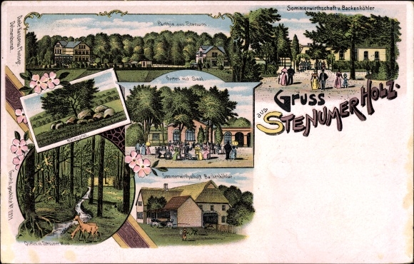 Chromo-Litho Stenum Ganderkesee Lower Saxony, garden with hall, summer inn Backenköhler