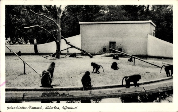 Postcard Bismarck Gelsenkirchen in the Ruhr area, Ruhr Zoo, Monkey Island