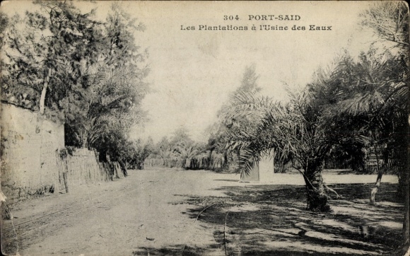 CPA Port-Saïd, Egypte, Les Plantations à l'Usine des Eaux