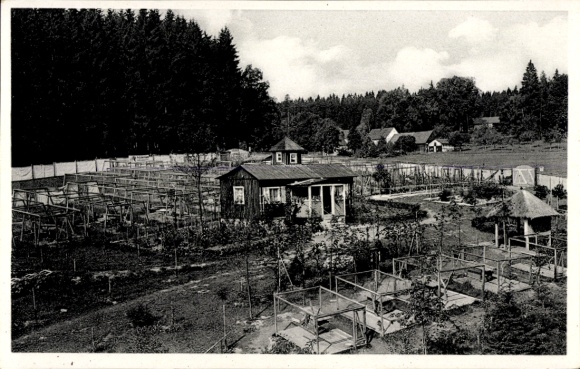 Postcard Isabellengrün Burgk in Thuringia, Elite Fur Farm Saaletalsperre