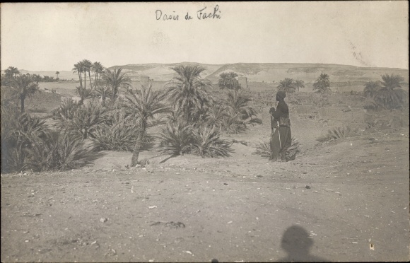 Foto Ak Fachi Niger, Einheimischer, Palmen