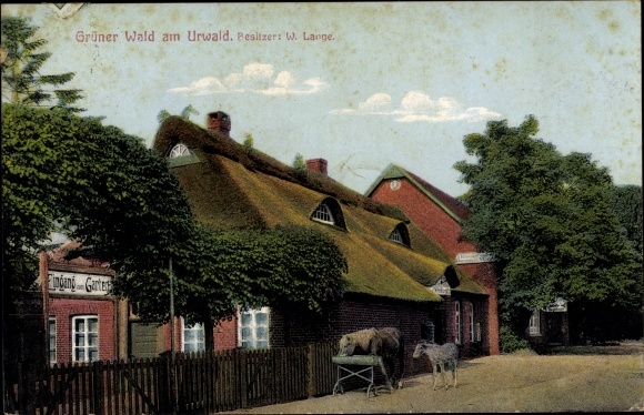 Postcard Zetel in Oldenburg Friesland, Restaurant Grüner Wald