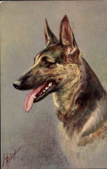 Künstler Ak Alsatian Wolfhound, Berger alsatien, Schäferhund