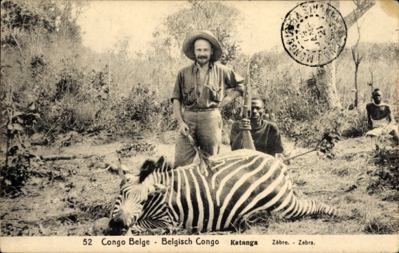 Postal stationery PC Belgian Congo Zaire, dead zebra, hunter, rifle