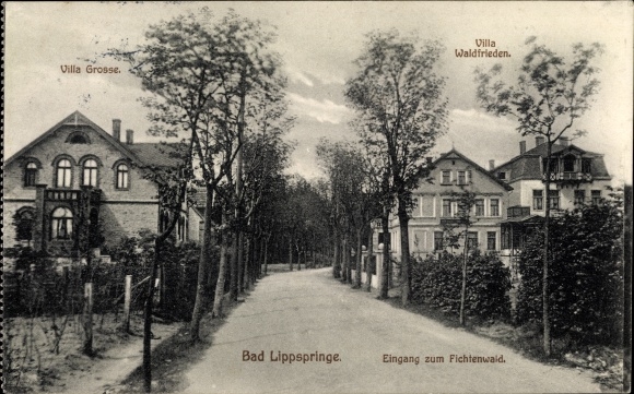 Ak Bad Lippspringe im Kreis Paderborn, Eingang zum Fichtenwald, Villen Große und Waldfrieden