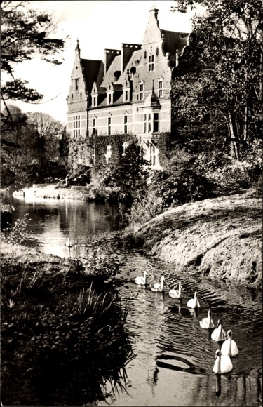 Ak Lütetsburg in Ostfriesland, Schloss, Schwäne