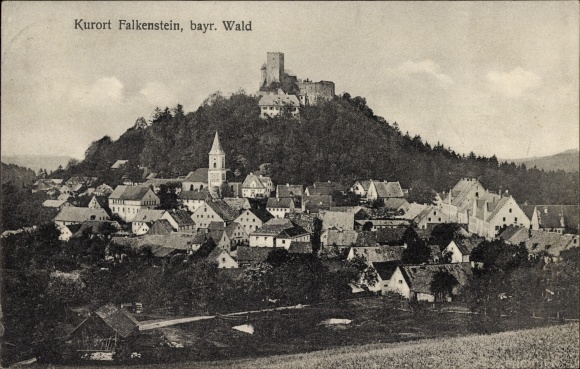 Ak Falkenstein in der Oberpfalz, Kurort, Burg, Ortsansicht