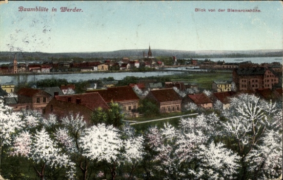 Ak Werder an der Havel, Baumblüte, Blick von der Bismarckhöhe