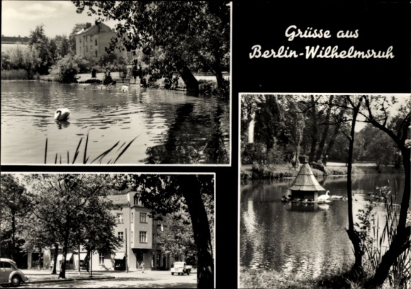 Ak Berlin Pankow Wilhelmsruh, Teilansichten, Teich, Schwäne