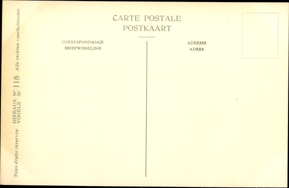 Artist Postcard Dupond, Hub., Circus macrourus, Steppenweihe