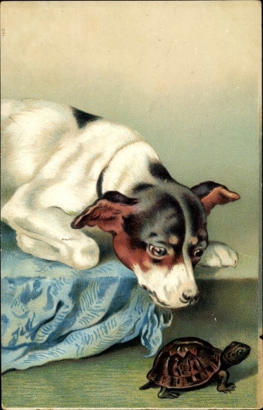 Emboss Postcard Curious Dog and Turtle