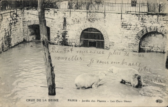 Postcard Paris V, Jardin des Plantes, Seine flood, The White Bears