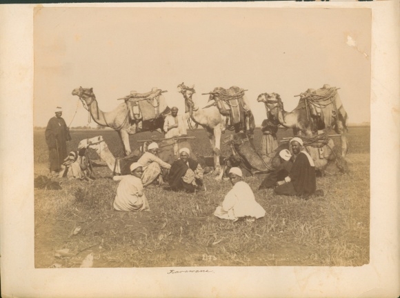 Photograph of a caravan, group of men and boys with their camels at Port Said